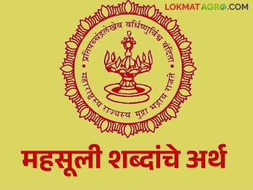 निस्तारपत्रक, जिन्नसवार, वरसाल, पारडी जमीन या महसूली शब्दांचे अर्थ जाणून घेऊया! - Marathi News | Latest news learn meanings of revenue terms like Passover, Jinnaswar, Varsal, Pardi Zamin! | Latest News at Lokmat.com