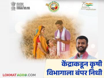 केंद्राकडून कृषी विभागाला अतिरिक्त ३३ कोटींचा निधी मंजूर; कोणत्या योजनेला मिळाला सर्वाधिक निधी? - Marathi News | The Centre has approved an additional fund of Rs 33 crore for the Agriculture Department; Which scheme received the most funds? | Latest News at Lokmat.com