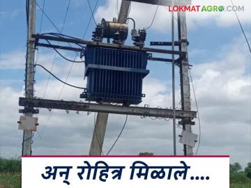 Agriculture News : अन् बागलाणच्या शेतकऱ्याला 24 तासांत मिळाले रोहित्र, वाचा सविस्तर  - Marathi News | Latest News agriculture News And a farmer from Baglan got new Transformer in 24 hours, read in detail | Latest News at Lokmat.com