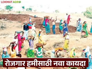 रोजगार हमी योजनेसाठी मनरेगाच्या जागी लागू होणार 'हा' नवीन कायदा; कसा होणार फायदा? - Marathi News | This new law will replace MNREGA for employment guarantee scheme; How will it benefit? | Latest News at Lokmat.com