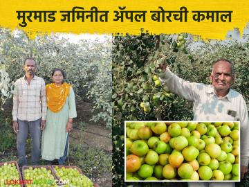 Success Story : आडुळे कुटुंबाचा प्रयोग आला फळाला; शेतकरी ते ग्राहक विक्रीचा दिला धडा गावाला - Marathi News | Success Story: Adule family's experiment bore fruit; Farmer-to-consumer sales taught the village a lesson | Latest News at Lokmat.com