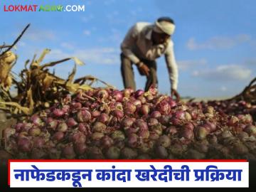 Nafed Kanda Kharedi : नाफेडकडून कांदा खरेदीची निविदा प्रक्रिया जाहीर, किती टन कांदा खरेदी होणार  - Marathi News | Latest news Nafed kanda kharedi Tender process for onion purchase announced by Nafed, how many tonnes of onion will be purchased | Latest News at Lokmat.com
