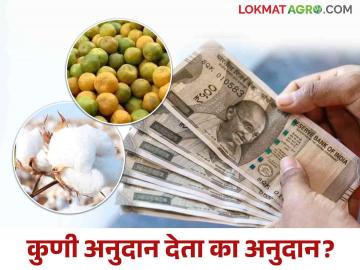 Agriculture Schemes : दोन वर्षांपासून प्रतीक्षा: शेतकऱ्यांचे कोट्यवधींचे अनुदान रखडले! - Marathi News | Agriculture Schemes: Waiting for two years: Farmers' subsidies of crores stopped! | Latest News at Lokmat.com Agriculture Schemes : दोन वर्षांपासून प्रतीक्षा: शेतकऱ्यांचे कोट्यवधींचे अनुदान रखडले! - Marathi News | Agriculture Schemes: Waiting for two years: Farmers' subsidies of crores stopped! | Latest News at Lokmat.com