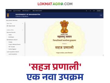 Sahaj Pranali: सहज प्रणालीमुळे दस्तऐवज 'एका क्लिकवर'! जाणून घ्या सविस्तर - Marathi News | Sahaj Pranali: latest news Documents 'with one click' thanks to Sahaj system! Know the details | Latest News at Lokmat.com