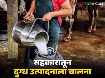 सहकारातून विदर्भात दुग्धोत्पादनाचा विकास करणार : सहकार राज्यमंत्री डॉ. भोयर - Marathi News | Milk production in Vidarbha will be developed through cooperation: Minister of State for Cooperation Dr. Bhoyar | Latest News at Lokmat.com