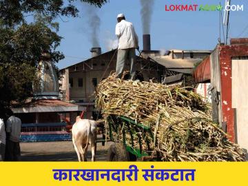 साखर कारखान्यांसाठी साखर नियंत्रण आदेश.. काय आहे या आदेशात? वाचा सविस्तर - Marathi News | Sugar control order for sugar mills.. What is in this order? Read in detail | Latest News at Lokmat.com