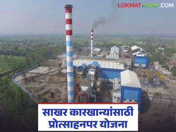 Sugar Factory Scheme : राज्यातील 'या' साखर कारखान्यांसाठी प्रोत्साहनपर योजना, जाणून घ्या सविस्तर  - Marathi News | Latest News Sugar Factory Scheme Incentive scheme for sahkari sugar factories of maharashtra, know the details | Latest News at Lokmat.com