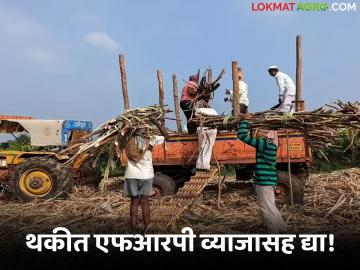 थकीत 'एफआरपी' व्याजासह अदा करावी, अन्यथा न्यायालयात जाऊन.... शेतकरी संघटनेचा इशारा  - Marathi News | Latest News outstanding 'FRP' should be paid with interest Farmers' organization warns | Latest News at Lokmat.com