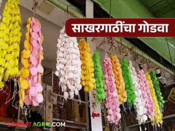 Gudhipadwa : गुढीपाडव्याला साखर गाठीला महत्व का असते? जाणून घ्या सविस्तर  - Marathi News | latest News Gudhipadwa 2025 Why is sugarcane har kade important on Gudipadwa see detail | Latest News at Lokmat.com
