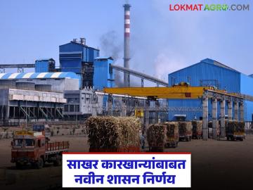 शासकीय भागभांडवल घ्या, गाळप क्षमता वाढवा, सदर योजनेबाबत नवीन शासन निर्णय आला! - Marathi News | Latest News New government decision regarding the scheme to provide equity capital to increase the crushing capacity of sugar factories | Latest News at Lokmat.com शासकीय भागभांडवल घ्या, गाळप क्षमता वाढवा, सदर योजनेबाबत नवीन शासन निर्णय आला! - Marathi News | Latest News New government decision regarding the scheme to provide equity capital to increase the crushing capacity of sugar factories | Latest News at Lokmat.com