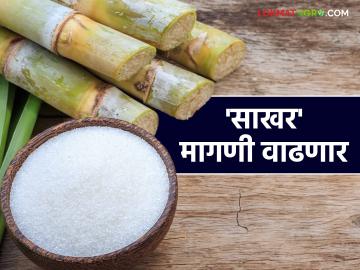 Sugar Export : साखर निर्यातीला येणार अच्छे दिन; जगभरातून मागणी वाढणार - Marathi News | Sugar Export : Good days will come for sugar exports; Demand will increase from all over the world | Latest News at Lokmat.com