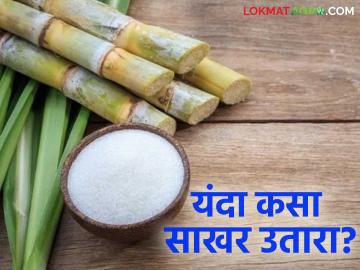१५४ कारखान्यांचे गाळप सुरु; यंदा कसा मिळतोय साखरेला उतारा? कोणत्या भागात सर्वाधिक उतारा? - Marathi News | Crushing of 154 factories begins; How is sugar being extracted this year? In which area is the most extracted? | Latest News at Lokmat.com