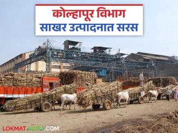 Sugarcane Crushing 2024-25 : राज्यात आतापर्यंत १०२ साखर कारखान्यांची धुराडी बंद; किती झाले साखर उत्पादन? - Marathi News | Sugarcane Crushing 2024-25 : 102 Sugar factories have been closed in the state so far; How much sugar has been produced? | Latest News at Lokmat.com