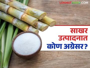 यंदा साखर उत्पादनात 'हे' राज्य देशात अव्वल; सुमारे ४९ लाख टन साखर उत्पादनाचा टप्पा गाठला - Marathi News | This year, this state tops the country in sugar production; reached the milestone of about 49 lakh tonnes of sugar production | Latest News at Lokmat.com
