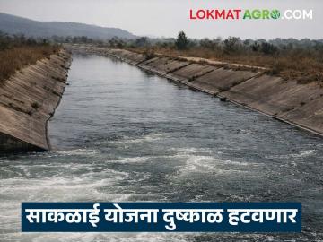 साकळाई उपसा सिंचन योजनेला मंत्रिमंडळाची मंजुरी; 'या' दोन तालुक्यातील ३२ गावांचा दुष्काळ हटणार - Marathi News | Cabinet approves Saklai Upsa Irrigation Scheme; Drought in 32 villages in these two talukas will be eliminated | Latest News at Lokmat.com