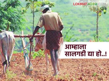 Salgadi : यंदा सालगडी ठरेना अन् मजूरही मिळेना; काय आहे कारण वाचा सविस्तर - Marathi News | Salgadi: latest news This year, the Salgadi was not decided and no laborers were found; What is the reason? Read in detail | Latest News at Lokmat.com