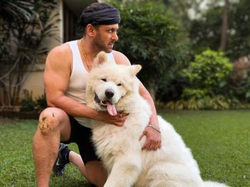 सलमान खानने पहिल्यांदाच शेअर केला त्याच्या गोंडस कुत्र्याचा फोटो; नाव ठेवलंय खूपच खास