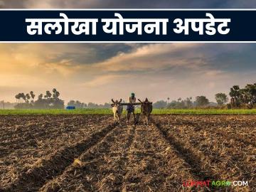 Salokha Yojana : सलोखा योजनेंतर्गत मुद्रांक शुल्क व नोंदणी शुल्क माफ, योजनेची मुदत वाढवली - Marathi News | Latest News salokha yojana Stamp duty and registration fee waived under Salokha scheme, scheme period extended | Latest News at Lokmat.com