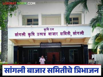 सांगली बाजार समितीचे विभाजन; आता 'या' तीन तालुक्यांसाठी होणार स्वतंत्र बाजार समित्या - Marathi News | Sangli Market Committee split; Now there will be separate market committees for 'these' three talukas | Latest News at Lokmat.com