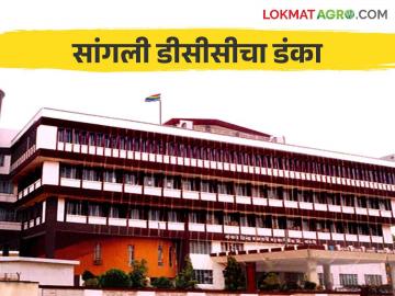 शेती पूरक व्यवसायाला १११ कोटींचे कर्ज वाटप करत ही बँक राज्यात पहिल्या पाचमध्ये - Marathi News | This bank is among the top five in the state by disbursing loans of 111 crores to agriculture allied business | Latest News at Lokmat.com
