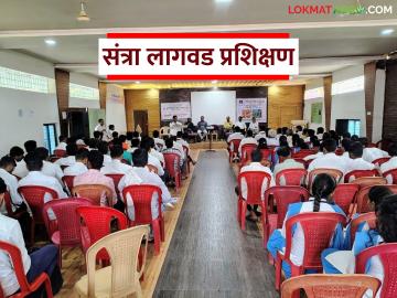 Agriculture News : तोंडापूर येथील कृषी विज्ञान केंद्राकडून संत्रा लागवड प्रशिक्षण, वाचा सविस्तर  - Marathi News | Latest News Orange cultivation training from Agricultural Science Center in Tondapur, read in detail | Latest News at Lokmat.com