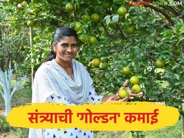 Women Farmer Success Story : उच्चशिक्षित तरुणीची शेतीत गरूडझेप; एकरभरातून कमावले सात लाख रुपये वाचा सविस्तर - Marathi News | latest news Women Farmer Success Story: Highly educated young woman excels in farming; Earns seven lakh rupees from one acre | Latest News at Lokmat.com Women Farmer Success Story : उच्चशिक्षित तरुणीची शेतीत गरूडझेप; एकरभरातून कमावले सात लाख रुपये वाचा सविस्तर - Marathi News | latest news Women Farmer Success Story: Highly educated young woman excels in farming; Earns seven lakh rupees from one acre | Latest News at Lokmat.com