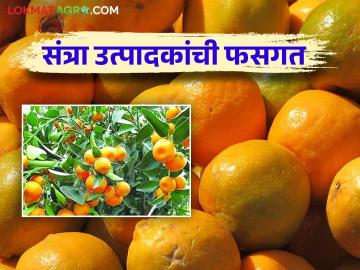 Organic Fertilizer : सेंद्रीय खत विक्रेत्याचा गोरखधंदा बंद होणार का? काय आहे प्रकरण वाचा सविस्तर - Marathi News | Organic Fertilizer: Will the organic fertilizer seller's racket be stopped? Read the case in detail | Latest News at Lokmat.com