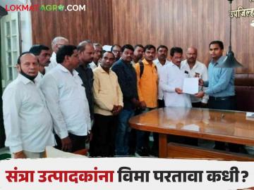 Agriculture News : दिवाळी आली, अजूनही संत्रा उत्पादक शेतकरी विमा परताव्याचा प्रतीक्षेत, वाचा सविस्तर - Marathi News | Latest News Agriculture News Diwali has arrived, orange farmers are still waiting for insurance refund, read in detail | Latest News at Lokmat.com