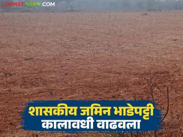शासकीय जमिनींच्या भाडेपट्टी कालावधीत मोठी वाढ; आता किती वर्षांपर्यंत करता येईल भाडेपट्टा? - Marathi News | Huge increase in lease period of government lands; How many years can a lease be done now? | Latest News at Lokmat.com शासकीय जमिनींच्या भाडेपट्टी कालावधीत मोठी वाढ; आता किती वर्षांपर्यंत करता येईल भाडेपट्टा? - Marathi News | Huge increase in lease period of government lands; How many years can a lease be done now? | Latest News at Lokmat.com