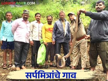 कोल्हापूर जिल्ह्यातील या गावाला सर्पमित्रांचं गाव म्हणून ओळख वाचा सविस्तर - Marathi News | This village in Kolhapur district is known as the village of Sarpamitra, read in detail | Latest News at Lokmat.com