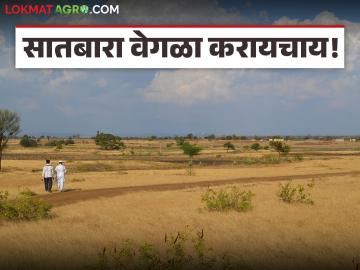 Satbara Utara : सातबारा उतारा वेगळा करायचाय, जाणून घ्या संपूर्ण कायदेशीर प्रक्रिया Satbara Utara : सातबारा उतारा वेगळा करायचाय, जाणून घ्या संपूर्ण कायदेशीर प्रक्रिया