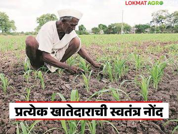 Samaik Satbara : सामाईक सातबाऱ्यातील प्रत्येक खातेदाराची आता होणार स्वतंत्र नोंद, काय आहे नवीन निर्णय - Marathi News | Latest News Satbara Utara separate record of share in the name of each account holder | Latest News at Lokmat.com