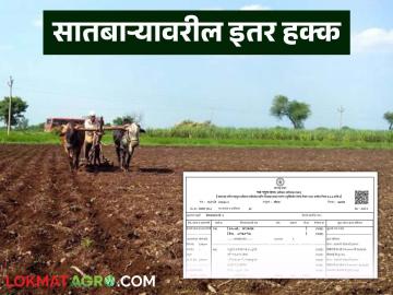सातबाऱ्यावरील इतर हक्कातील व्यक्तींना मिळकतीत हिस्सा मिळतो का? जाणून घ्या सविस्तर - Marathi News | Do other rights itar hakka holders on the Satbara get a share in the property? Find out in detail | Latest News at Lokmat.com