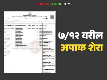सातबाऱ्यावरील अपाक शेरा म्हणजे काय? व तो कसा कमी करावा? वाचा सविस्तर - Marathi News | What is apak shera on satbara? and how to remove it? Read in detail | Latest News at Lokmat.com