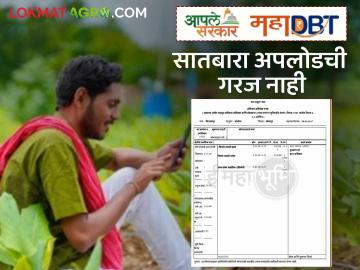 महाडीबीटीवर अर्ज करताय, सातबारा नसला तरी चालेल, 'हा' नंबर सांगा फक्त, मिनिटांत होईल काम - Marathi News | Latest news farmer id Agristak Farmer Identification Number Mandatory While Applying on MahaDBT Portal | Latest News at Lokmat.com