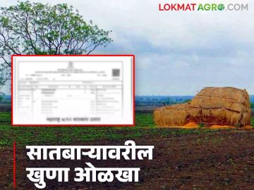 सातबाऱ्यावरील खुणा म्हणजे काय, 'या' खुणा जमिनीविषयी काय दर्शवितात, वाचा सविस्तर  - Marathi News | Latest News signs on Satbara, what do these marks indicate about land jamin | Latest News at Lokmat.com