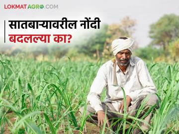 Satbara Varas Nond : तुम्ही सातबाऱ्यावरील वारस नोंदी बदलल्या का? जाणून घ्या सविस्तर  - Marathi News | Latest News Jivant satbara Mohim Did you change varas nond records on Satbara Find out in detail | Latest News at Lokmat.com