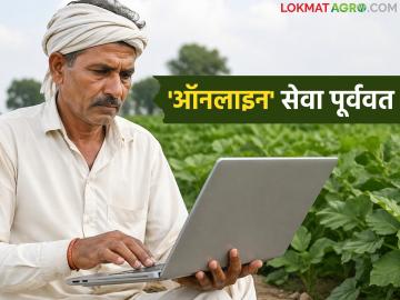 Agriculture News : अखेर दिलासा! सातबारा पोर्टल सुरू; शेतकऱ्यांचे रखडलेले कर्ज आता मिळणार