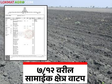 सामायिक शेतजमिनीची वाटणी करता येते का? काय आहे नियम? जाणून घ्या सविस्तर - Marathi News | Can shared agricultural land be divided? What are the rules? Know in detail | Latest News at Lokmat.com