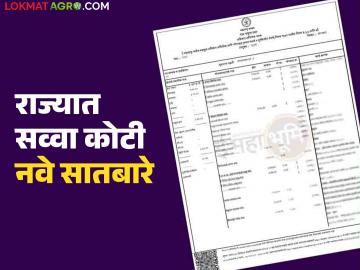 शेतजमिनींच्या मालकी हक्काचे स्वरूप बदलले; सव्वाकोटी नवे सातबारे तर नकाशांच्या संख्येत तीन पट वाढ - Marathi News | The ownership structure of agricultural lands has changed; 1.25 crore new land plots and the number of maps has increased threefold | Latest News at Lokmat.com