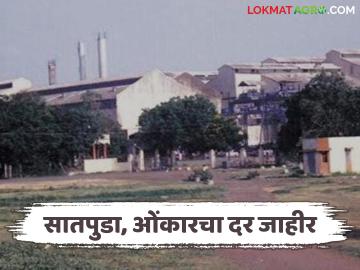 Sugarcane Rate : सातपुडा, ओंकार शुगरतर्फे उसाला प्रतिक्विंटल 2800 रुपयांचा भाव, वाचा सविस्तर - Marathi News | Latest news Satpuda, Omkar Sugar factory sells sugarcane at Rs 2,800 per quintal, read details | Latest News at Lokmat.com Sugarcane Rate : सातपुडा, ओंकार शुगरतर्फे उसाला प्रतिक्विंटल 2800 रुपयांचा भाव, वाचा सविस्तर - Marathi News | Latest news Satpuda, Omkar Sugar factory sells sugarcane at Rs 2,800 per quintal, read details | Latest News at Lokmat.com