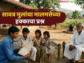 आई किंवा वडिलांनी दुसरे लग्न केल्यास सावत्र मुलांना मालमत्तेत हक्क मिळतो का? वाचा सविस्तर 