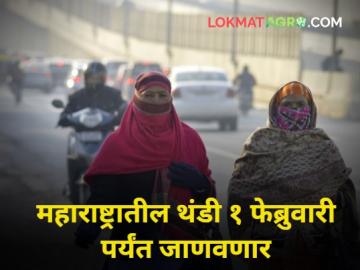 'उत्तर भारतात पुन्हा पाऊस व बर्फबारीचे आवर्तन'  - Marathi News | maharashtra winter weather imd Meteorologist manikrao khule rain climate | Latest agriculture News at Lokmat.com