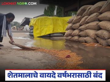 सात शेतमालांचे वायदे पुन्हा वर्षभरासाठी बंद, सेबीने जारी केली अधिसूचना, कारण अस्पष्ट - Marathi News | latest News Futures of seven agricultural commodities closed again for a year, SEBI issued notification | Latest News at Lokmat.com