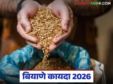 बियाणे कायदा 2026 आला, बोगस बियाणे विकणाऱ्यांची हयगय नाही, वाचा संपूर्ण माहिती  - Marathi News | Latest News Seeds Act 2026 Implementation of Seed Law as a Bogus Seed Remedy | Latest News at Lokmat.com