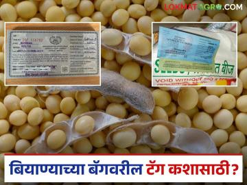 बियाण्याच्या बॅगवरील विविध रंगाचे टॅग काय सांगतात? जाणून घ्या सविस्तर - Marathi News | What do the different colored tags on seed bags mean? Find out in detail | Latest News at Lokmat.com
