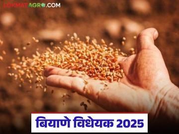 Biyane Bidheyak 2025 : डिसेंबर 2025 मध्ये सादर केलं जाणारं बियाणे विधेयक आहे तरी काय? वाचा सविस्तर Biyane Bidheyak 2025 : डिसेंबर 2025 मध्ये सादर केलं जाणारं बियाणे विधेयक आहे तरी काय? वाचा सविस्तर
