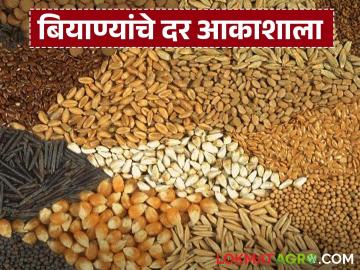 खरीपात नुकसान, रब्बीत महागाई! शेतकऱ्यांना बसतोय दुहेरी फटका - Marathi News | Losses in Kharif, inflation in Rabi! Farmers are facing a double blow | Latest News at Lokmat.com