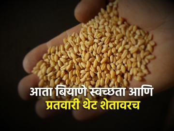 एका तासात ४ टन बियाणे स्‍वच्‍छ करून प्रतवारी करण्याचे यंत्र आले परभणी विद्यापीठात - Marathi News | A machine for cleaning and grading 4 tonnes of seeds in an hour has arrived in vnmkv Parbhani University | Latest News at Lokmat.com