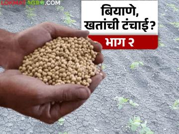 Kharif Season : अकोल्यात कपाशी बियाणे आणि डीएपी खताचा तुटवडा; शेतकऱ्यांच्या तयारीला 'ब्रेक'? वाचा सविस्तर - Marathi News | latest news Kharif Season: Shortage of cotton seeds and DAP fertilizer in Akola; 'Break' to farmers preparations? Read in detail | Latest News at Lokmat.com